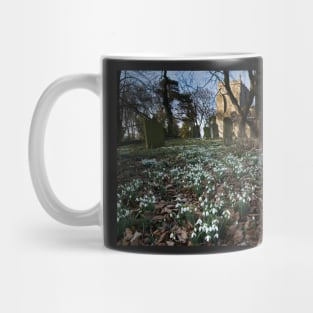 Churchyard Snowdrops Mug